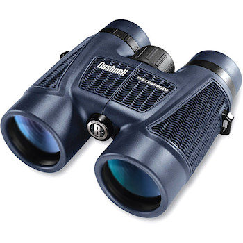 H2O Waterproof 8x42 Roof Prism Binoculars