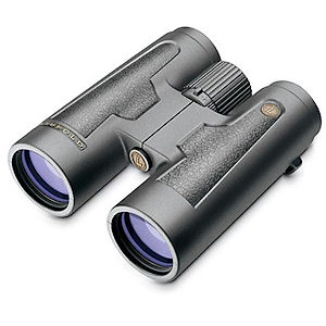 Leupold BX-2 Acadia 10x50 Binoculars Black