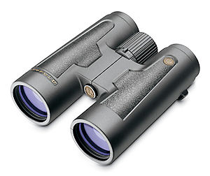 Leupold BX-2 Acadia 12x50 Binoculars Black