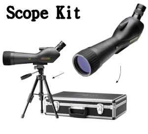 Leupold SX-1 Ventana 20-60x80 Angled Spotting Scope Kits