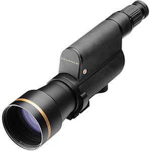 Shadow Gray Leupold GR Gold Ring Series 10-20x40mm Compact Spotting Scope 