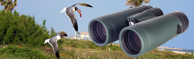 Celestron Trailseeker Binoculars 