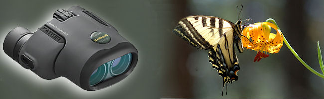 Pentax Papilio Binoculars 