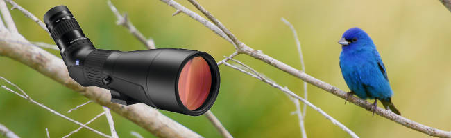 Zeiss Conquest Spotting Scopes 