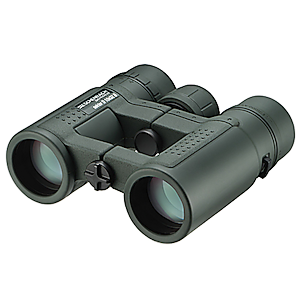 Sektor D 10x32 Binoculars