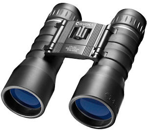 Lucid View 10x42 Blue Lens Binoculars
