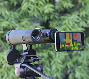 Kowa BD42-XD Binocular with iPhone Adapter 