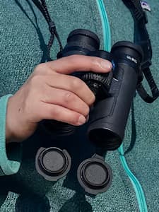 Zeiss SF 8x32 Binoculars